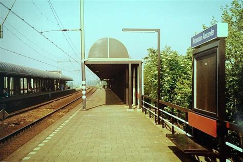 alexandrium rotterdam trein.